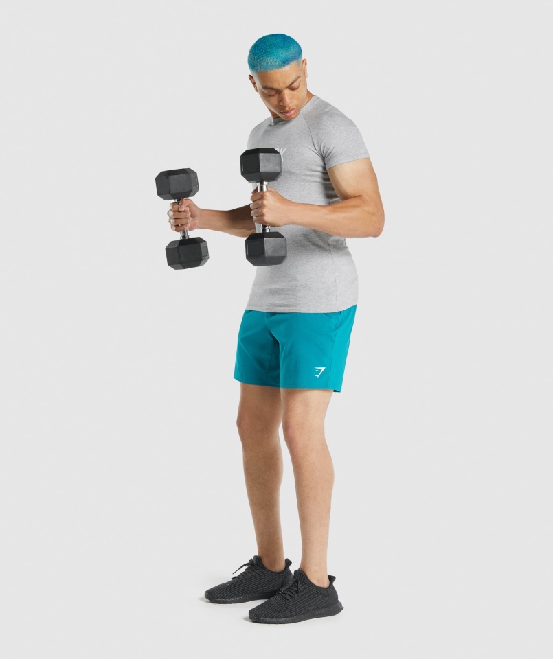 Apollo Póló Világosszürke Márga Gymshark