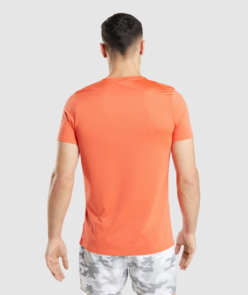 érkezés Grafikus Póló Papaya Orange Gymshark