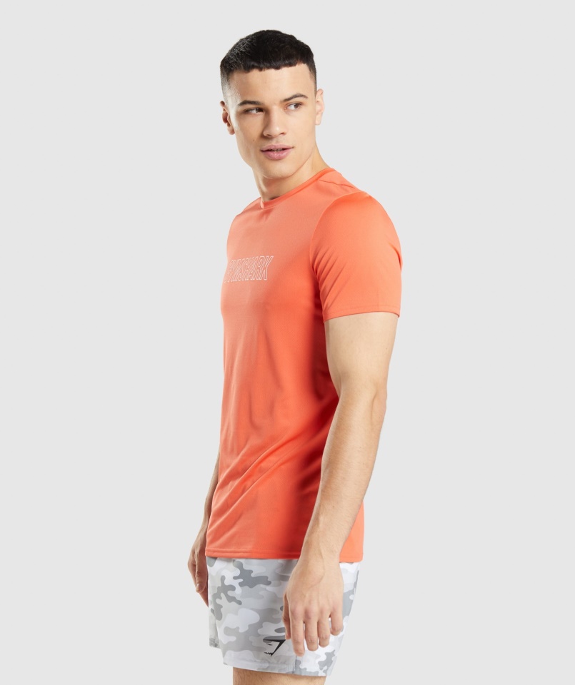 érkezés Grafikus Póló Papaya Orange Gymshark