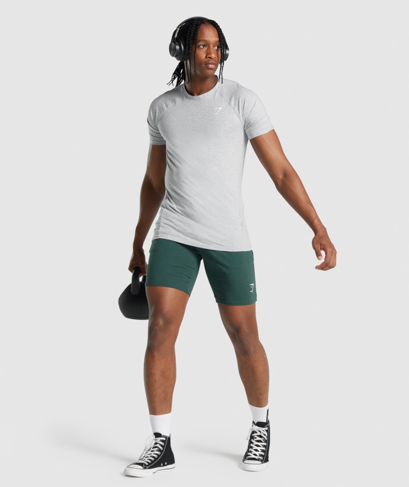 Kritikus 2.0 Póló Világosszürke Márga Gymshark