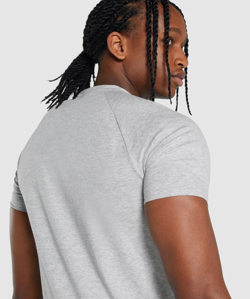 Kritikus 2.0 Póló Világosszürke Márga Gymshark