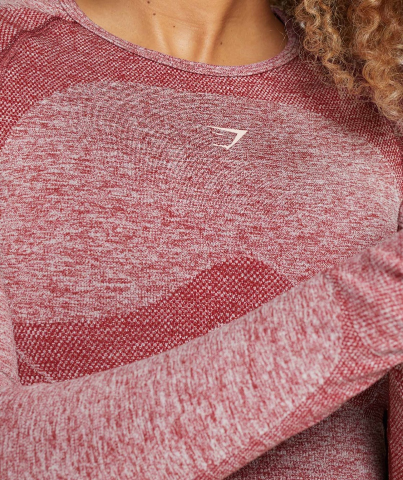 Flex Sport Hosszú Ujjú Crop Top Bordó Márga Gymshark