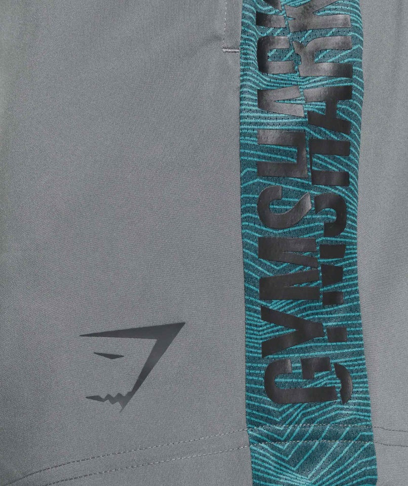 Grafikus Sport Rövidnadrág Szürke Gymshark