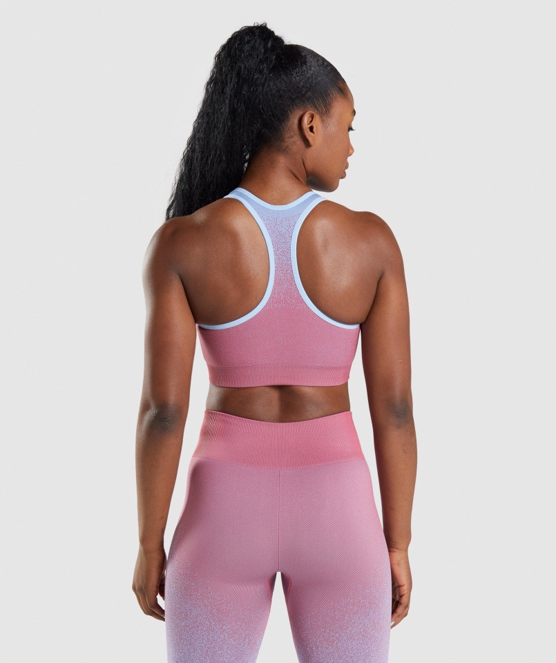 Gymshark Adapt Ombre Seamless Sportmelltartó Rózsa Rózsaszín-világoskék