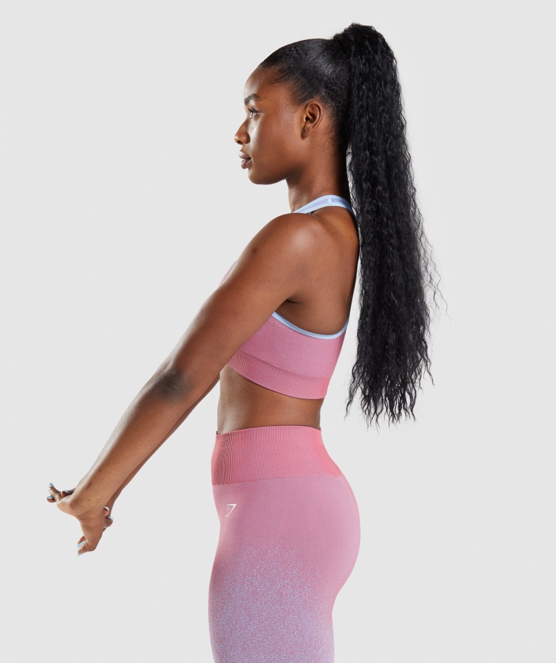 Gymshark Adapt Ombre Seamless Sportmelltartó Rózsa Rózsaszín-világoskék