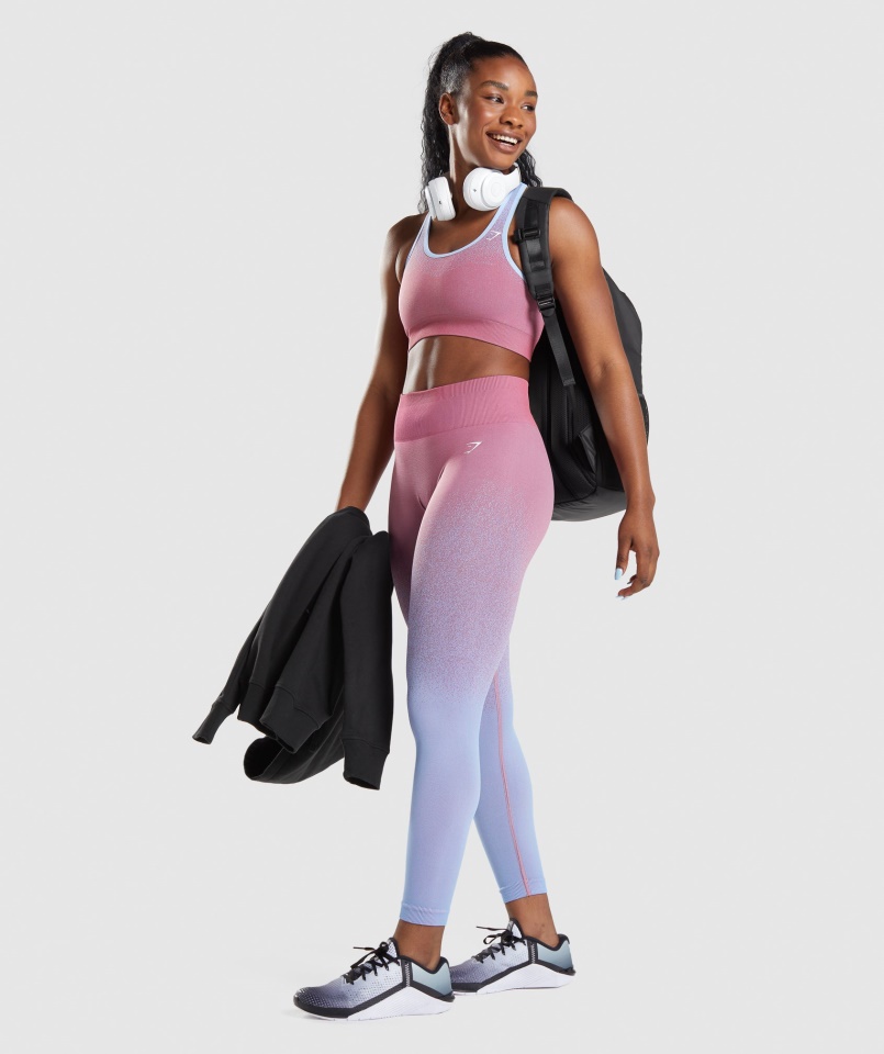 Gymshark Adapt Ombre Seamless Sportmelltartó Rózsa Rózsaszín-világoskék