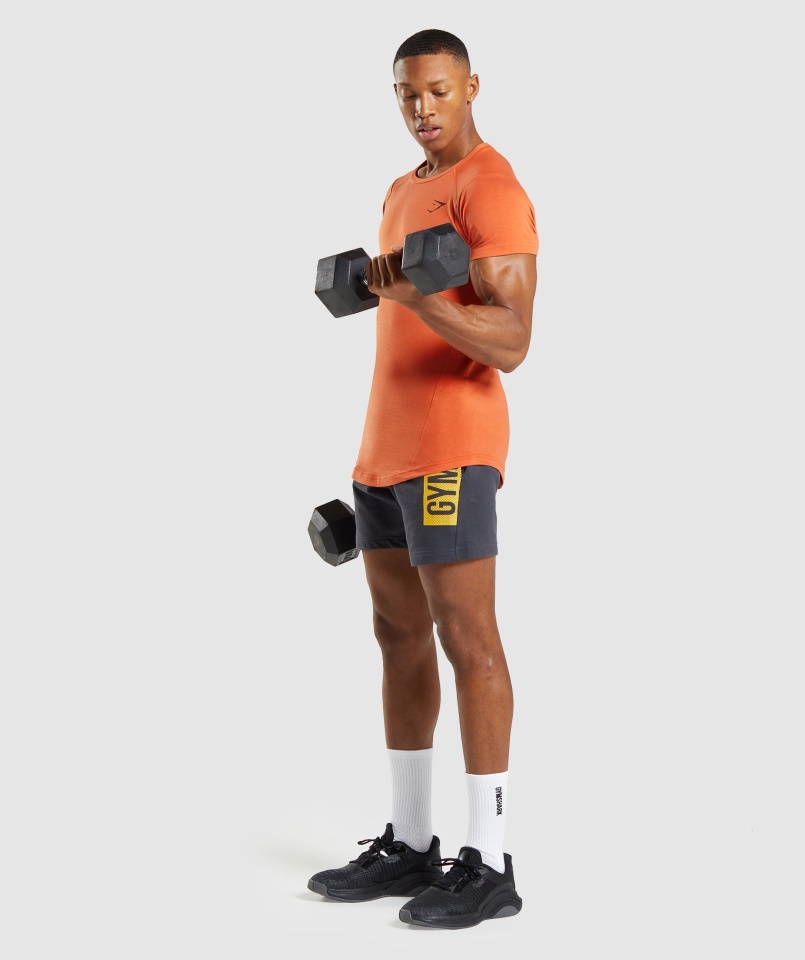 Gymshark Bold Póló Agyagnarancs