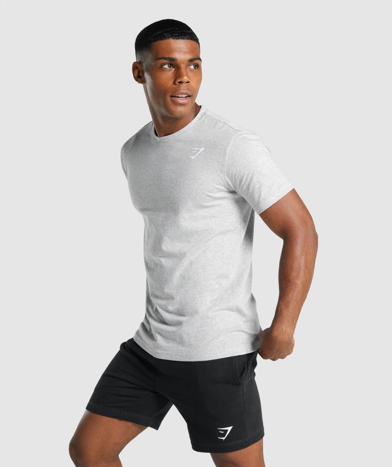 Gymshark Címeres Póló Világosszürke Márga