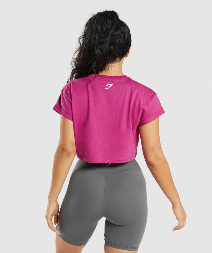 Gymshark Dragon Pink Fraction Crop Top