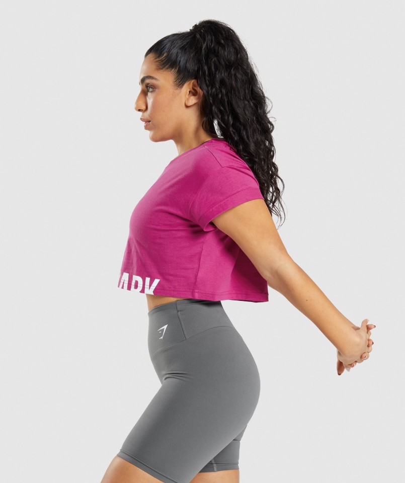 Gymshark Dragon Pink Fraction Crop Top