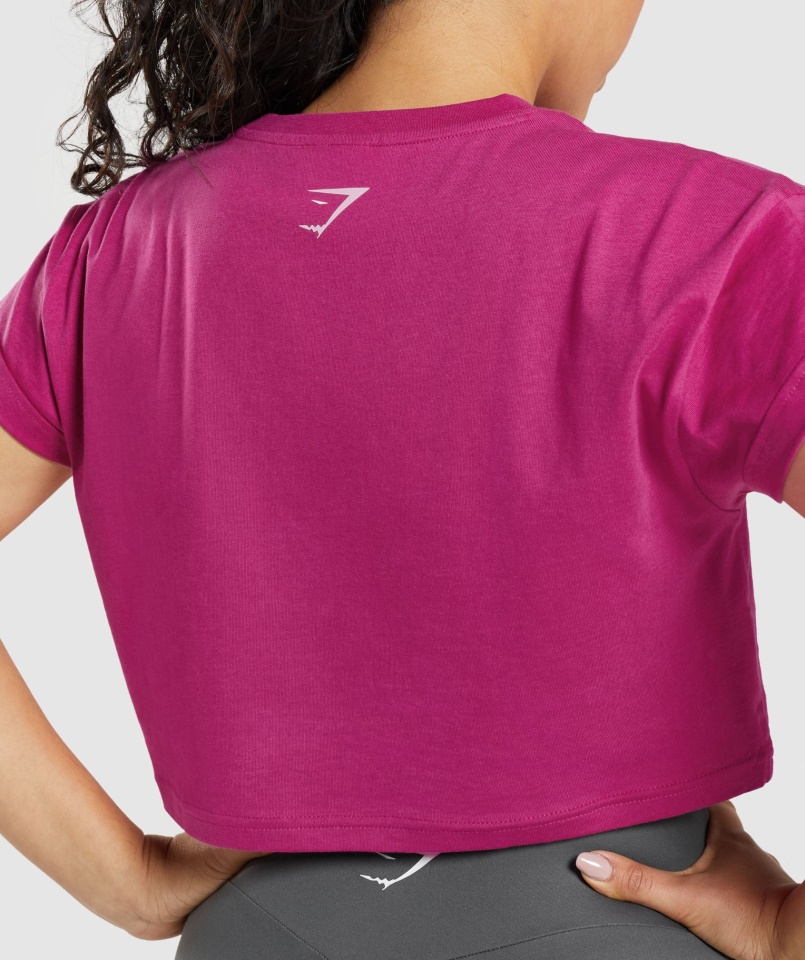 Gymshark Dragon Pink Fraction Crop Top