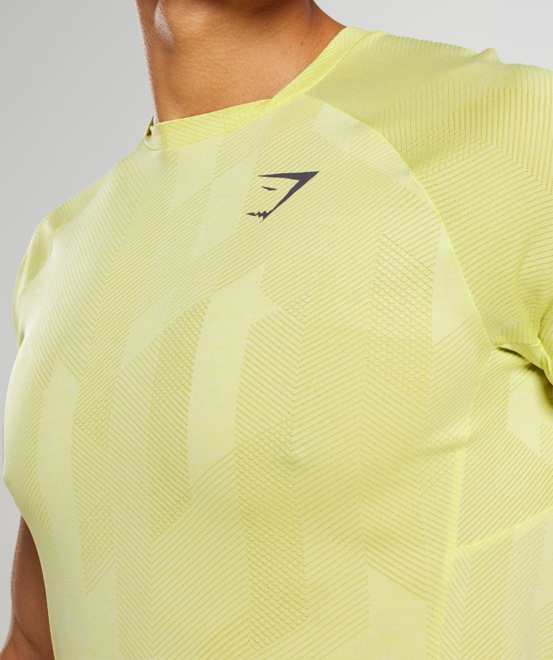 Gymshark Szentjánosbogár Zöld-fehér Csúcsos Póló