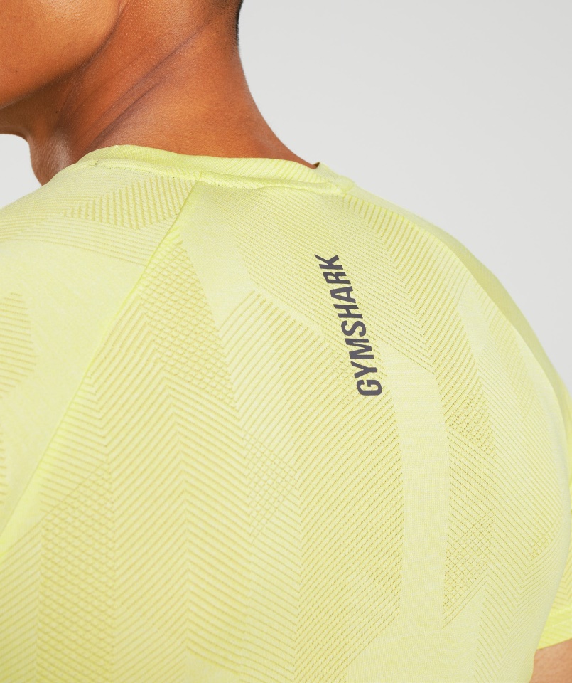 Gymshark Szentjánosbogár Zöld-fehér Csúcsos Póló