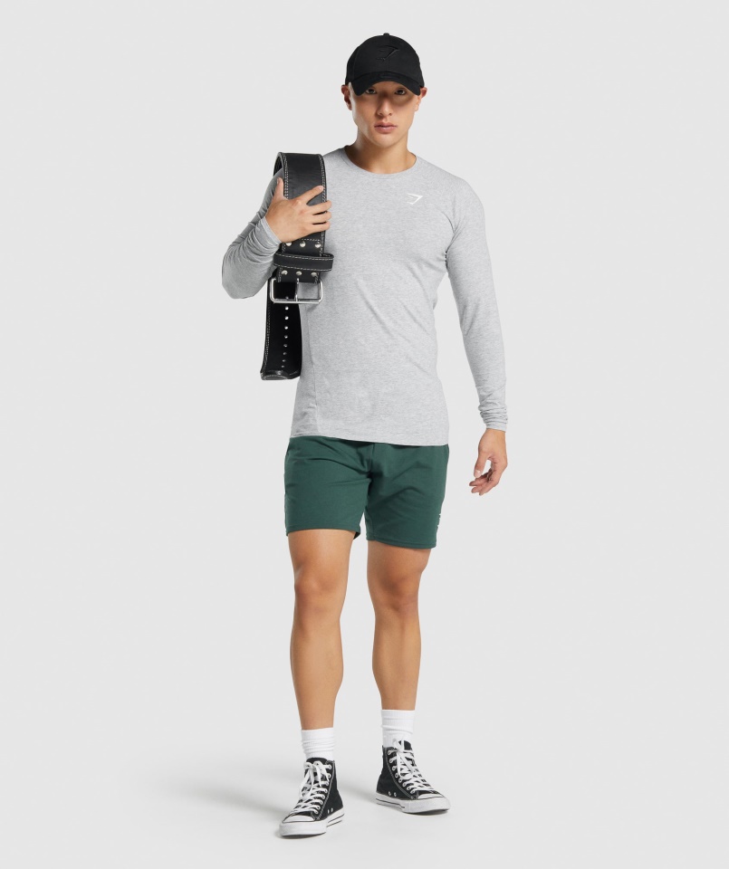 Gymshark Világosszürke Márga Kritikus 2.0 Hosszú Ujjú Póló