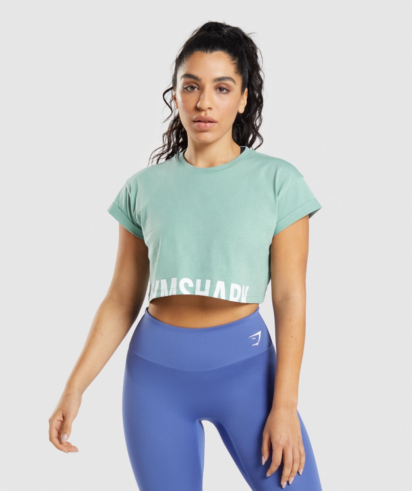 Gymshark Maya Blue Fraction Crop Top