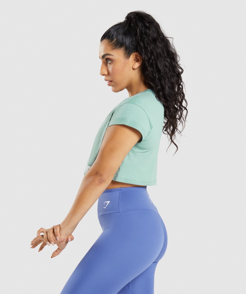 Gymshark Maya Blue Fraction Crop Top