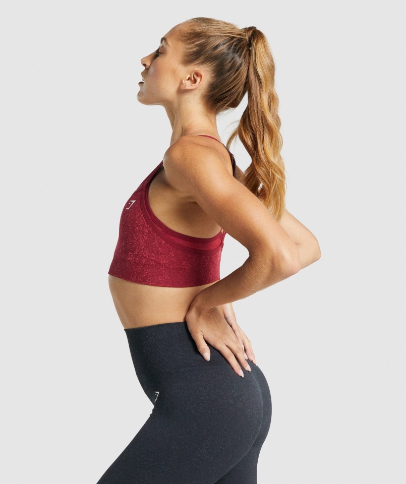 Gymshark ásványi-bordó Adapt Fleck Varrat Nélküli Sportmelltartó