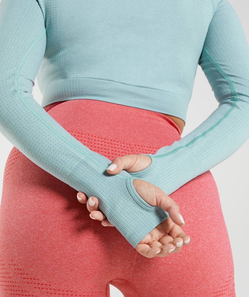 Gymshark Vital Seamless 2.0 Crop Top Gyöngyház Kék Márga