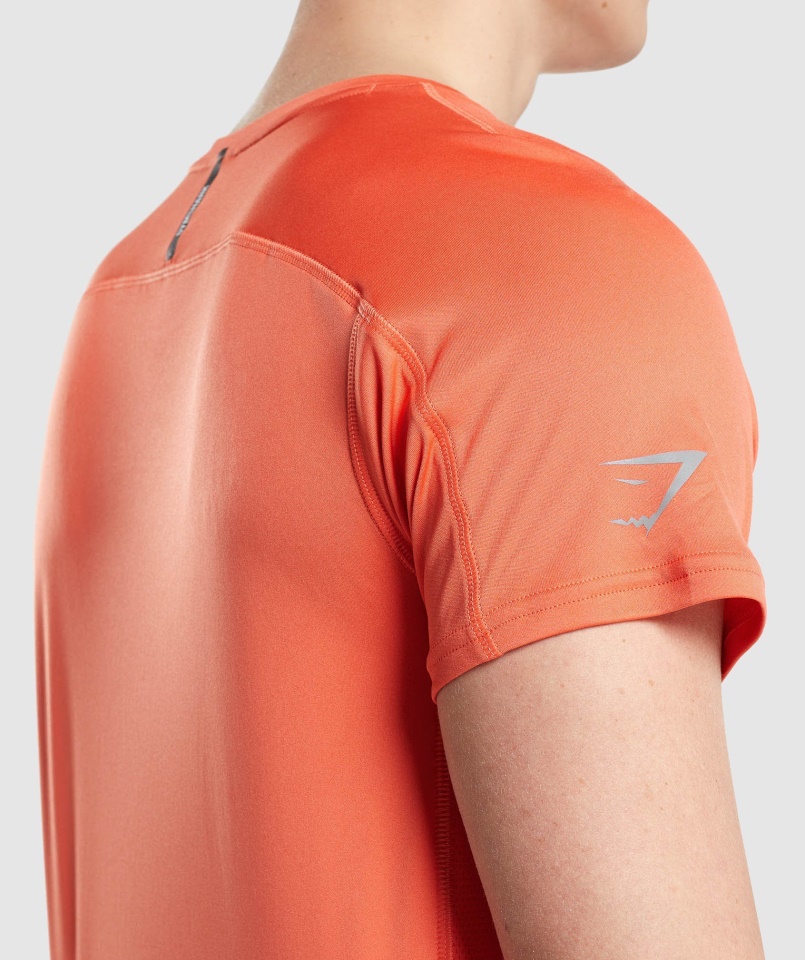Speed Evolve Póló Papaya Narancs Gymshark